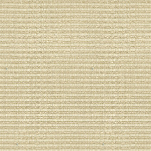 Kravet Fabric 32946-111