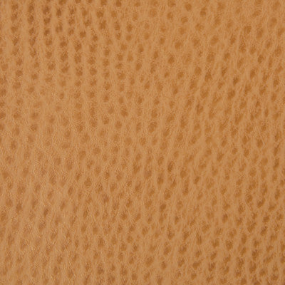 Kravet Fabric Belus-4