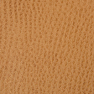 Kravet Fabric Belus-4
