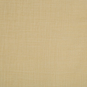 Kravet Fabric 4250-16