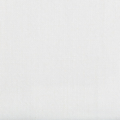 Kravet Fabric 35189-101