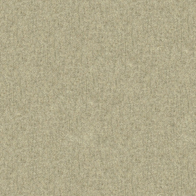 Kravet Fabric 33127-1611