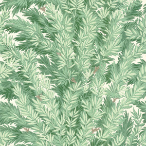 Cole & Son Wallpaper Florencecourt Verillion