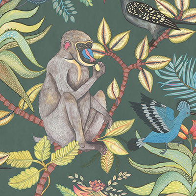 Cole & Son Wallpaper Savuti Dark Petrol Multi