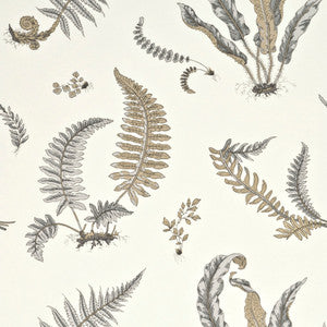 G P & J Baker Wallpaper Ferns Dove Grey/Silver
