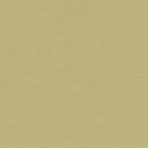 Kravet Fabric 4070-106
