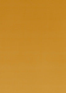 Baker Lifestyle Fabric Montpellier Velvet Sienna