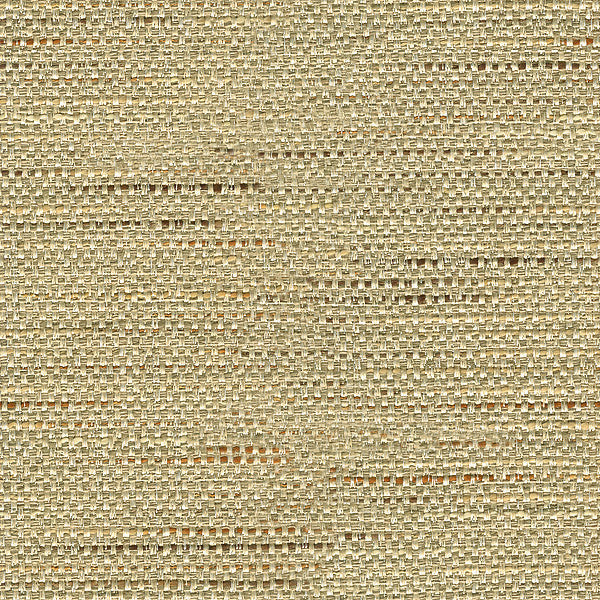 Kravet Fabric 33135-106