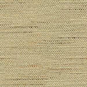 Kravet Fabric 33135-106