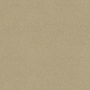 Kravet Fabric Ultrasuede Green Oatmeal