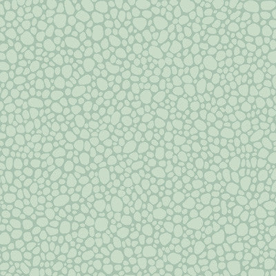 Cole & Son Wallpaper Pebble Print Room Blue