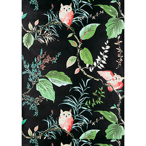 Kravet Wallpaper Owlish Black
