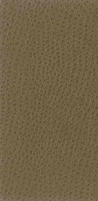 Kravet Fabric Nuostrich-106
