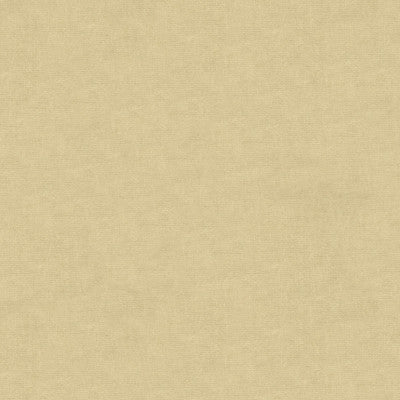 Kravet Fabric 33125-1111