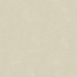 Kravet Fabric Ali-111