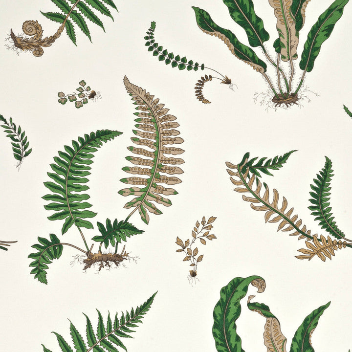 G P & J Baker Wallpaper Ferns Original Green