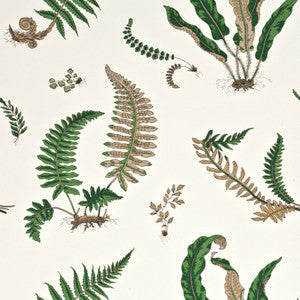 G P & J Baker Wallpaper Ferns Original Green