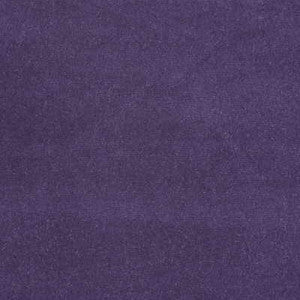 Kravet Fabric Versailles-E294020