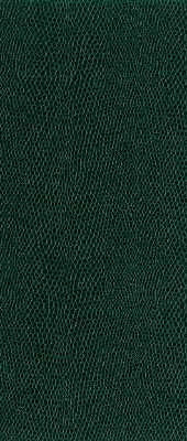 Kravet Fabric Moccasin-3