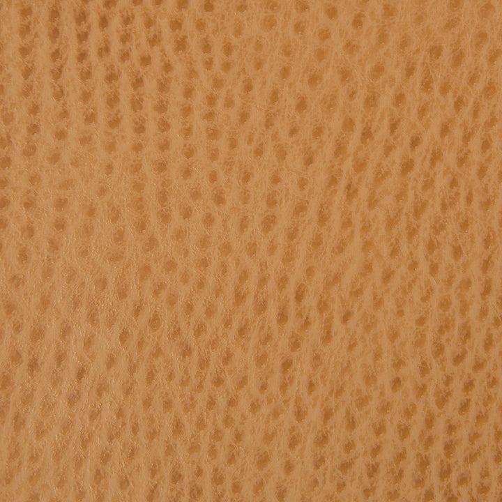 Kravet Fabric Ossy-4
