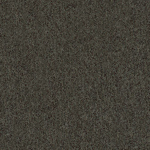 Kravet Fabric 31779-811
