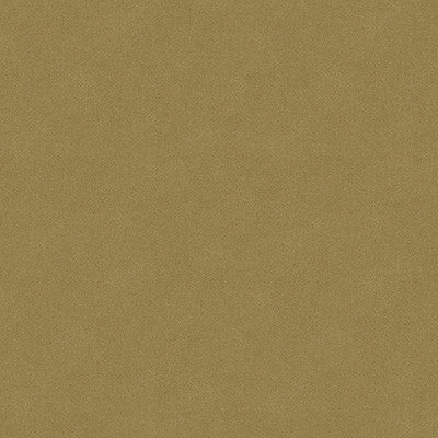 Kravet Fabric 34205-1616