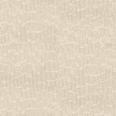 Kravet Fabric 34412-101