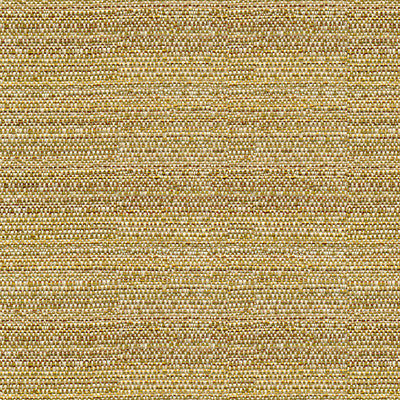 Kravet Fabric 31695-416