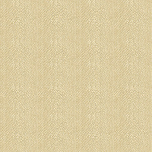 Kravet Fabric 33877-1116