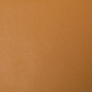 Kravet Fabric Newt-4