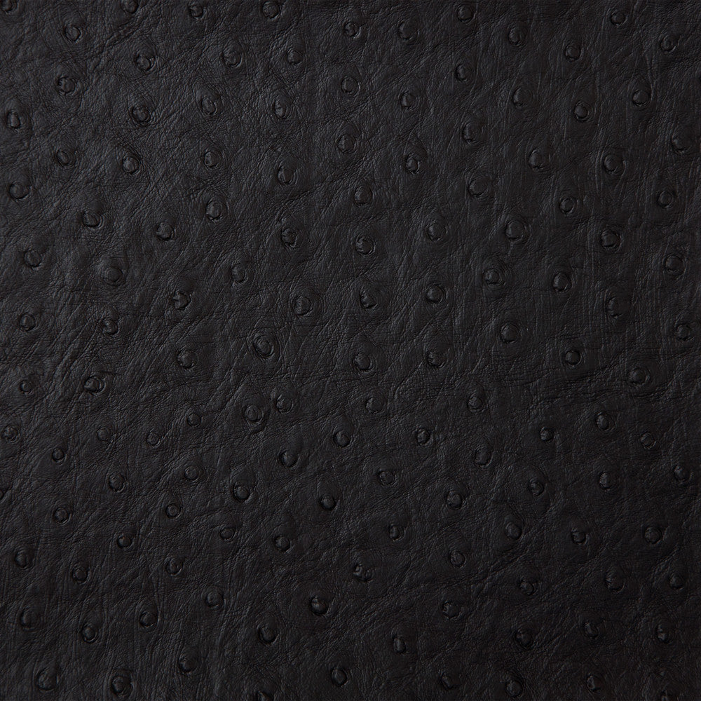 Kravet Fabric Senna-8