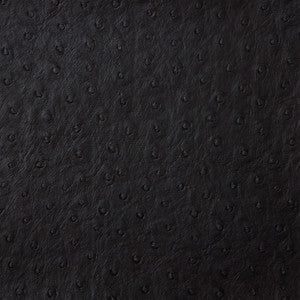 Kravet Fabric Senna-8