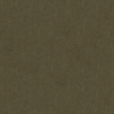 Kravet Fabric 33125-611