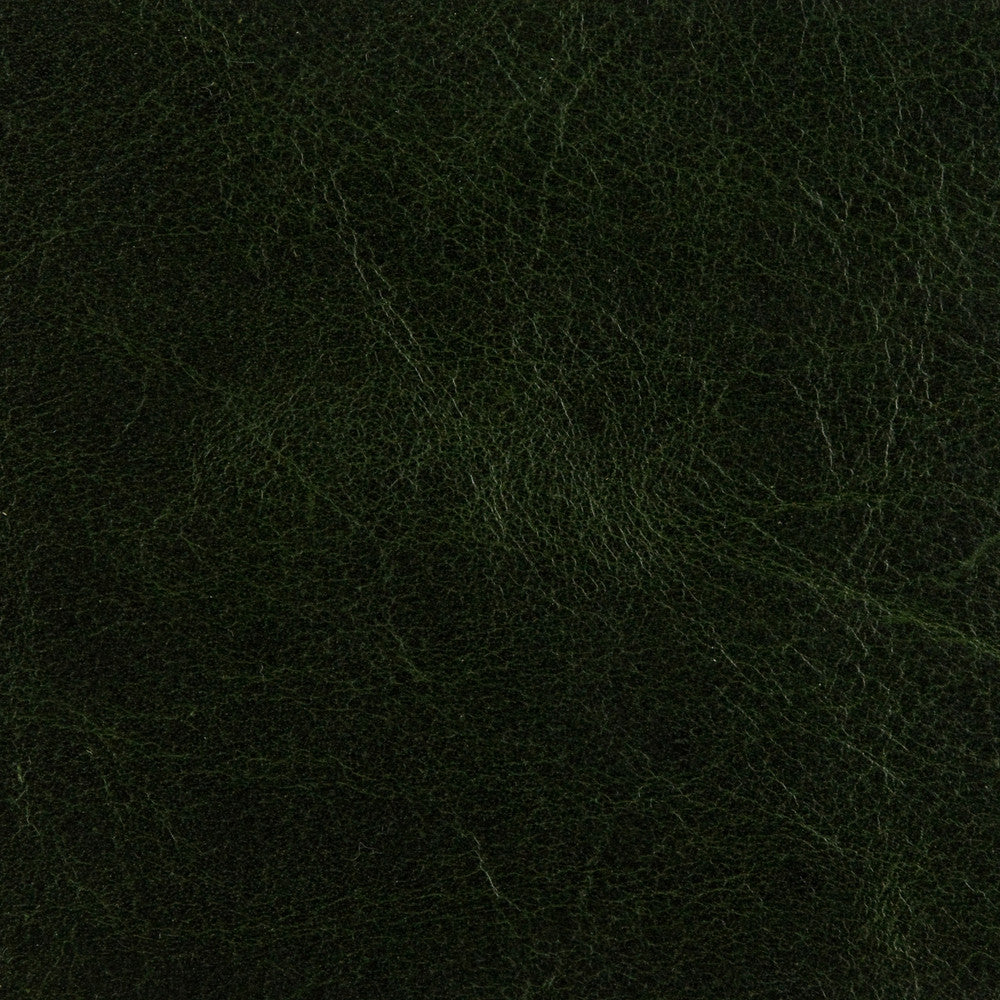 Kravet Fabric L-Arizona Forest