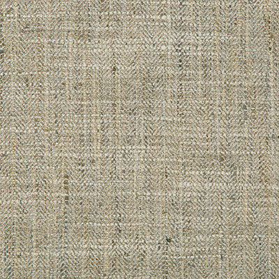 Kravet Fabric 34088-1116