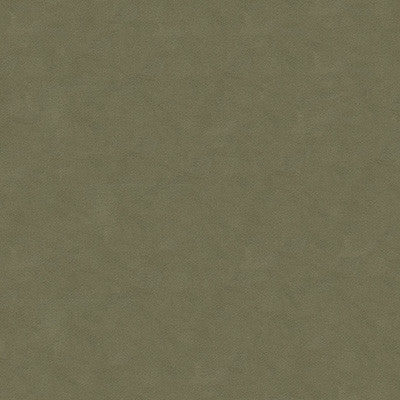 Kravet Fabric Ultrasuede Green Flannel