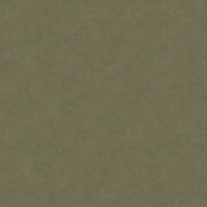 Kravet Fabric Ultrasuede Green Flannel