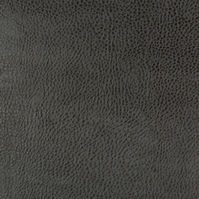 Kravet Fabric Beholder-21
