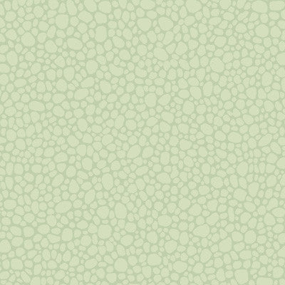 Cole & Son Wallpaper Pebble Duck Egg
