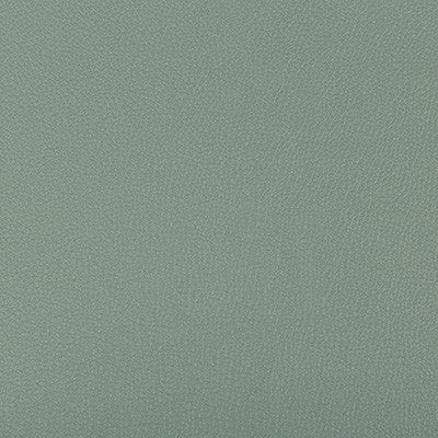 Kravet Fabric Syrus Herbal