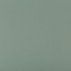 Kravet Fabric Syrus Herbal
