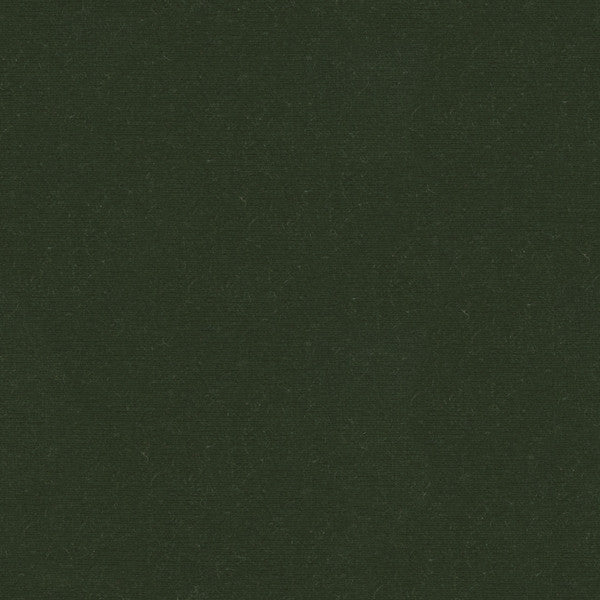 Kravet Fabric Versailles-E269140