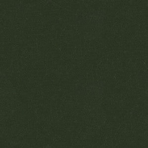 Kravet Fabric Versailles-E269140