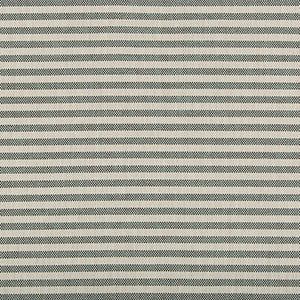 Lee Jofa Modern Fabric Rayas Stripe Navy