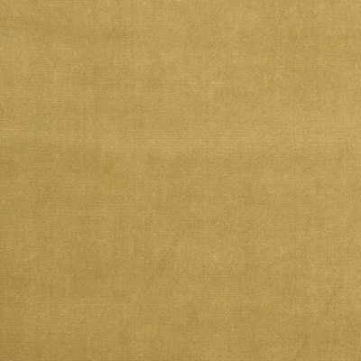 Kravet Fabric Versailles-E274000