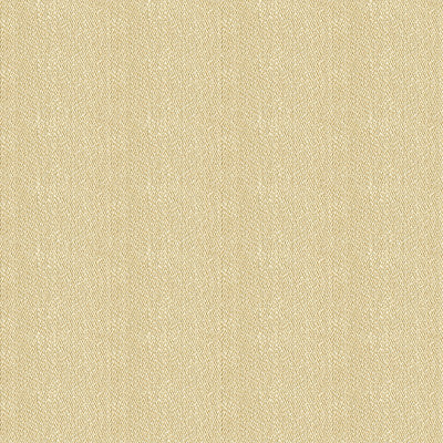 Kravet Fabric 33832-1116