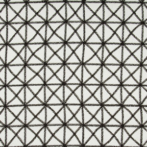 Kravet Fabric X-Squared Black