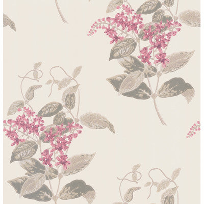 Cole & Son Wallpaper Madras Violet Pink
