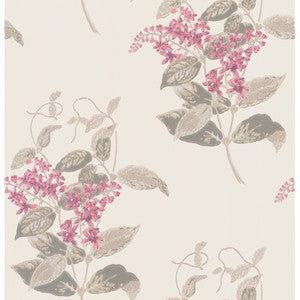 Cole & Son Wallpaper Madras Violet Pink