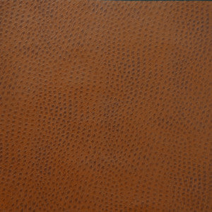 Kravet Fabric Delaney-6